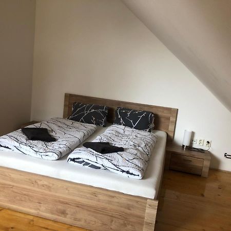Apartman Pod Laznema Есеник Экстерьер фото